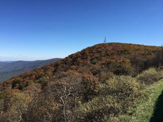 2016-10-25_12_37_17_View_east_from_the_Hogback_Overlook_along_Shenandoah_National_Park's_Skyline_Drive_in_Warren_County,_Virginia.jpg